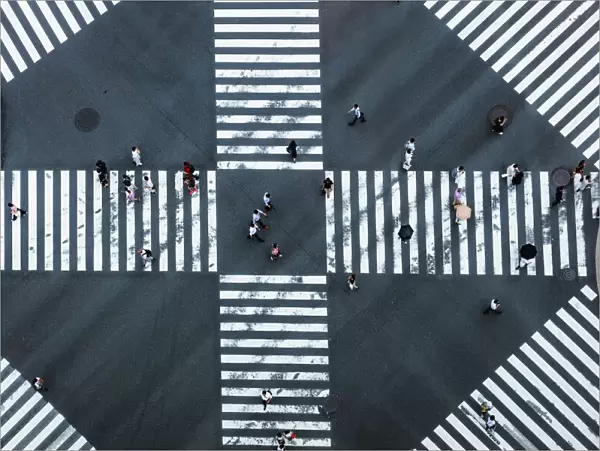 Aerial view of pedestrian crossing, Tokyo, Japan