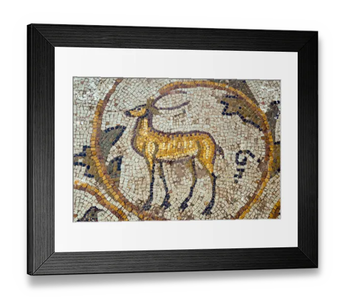 Framed Print : Deer mosaic, New House Of Hunt, Bulla Regia Archaeological Site, Tunisia Framed Print : Deer mosaic, New House Of Hunt, Bulla Regia Archaeological Site, Tunisia