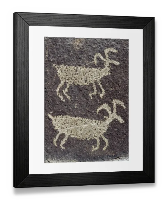 Framed Print : Close-up of Indian Petroglyphs, Ginko Petrified Forest State Park, Vantage, Washington State, USA Framed Print : Close-up of Indian Petroglyphs, Ginko Petrified Forest State Park, Vantage, Washington State, USA