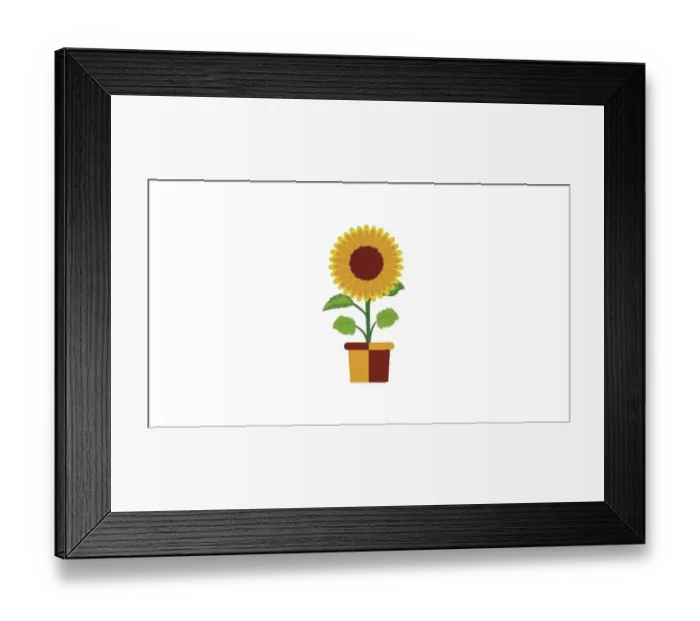 Framed Print : Sunflower flower isolated Framed Print : Sunflower flower isolated