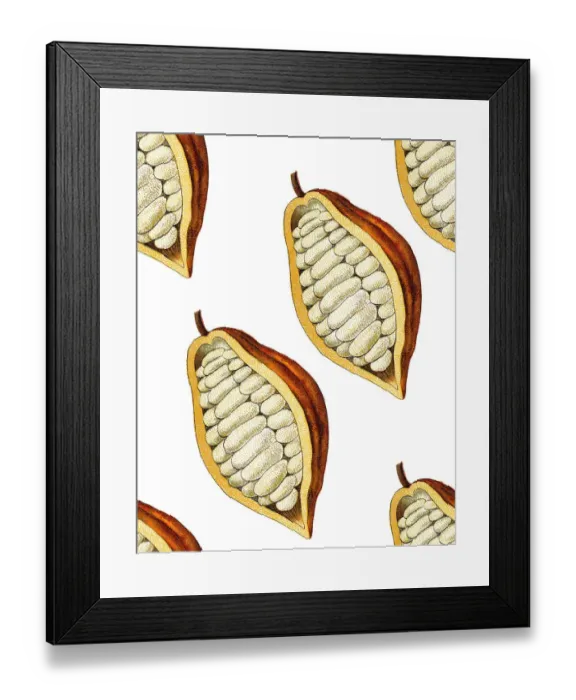 Framed Print : Theobroma cacao, Cocoa bean seamless pattern Framed Print : Theobroma cacao, Cocoa bean seamless pattern