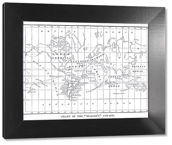 Chart of the Beagles voyage. Charles Darwin travel map