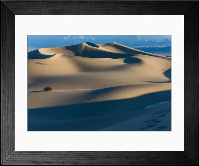 Framed Print : Mesquite Flat Sand Dunes at sunrise Framed Print : Mesquite Flat Sand Dunes at sunrise