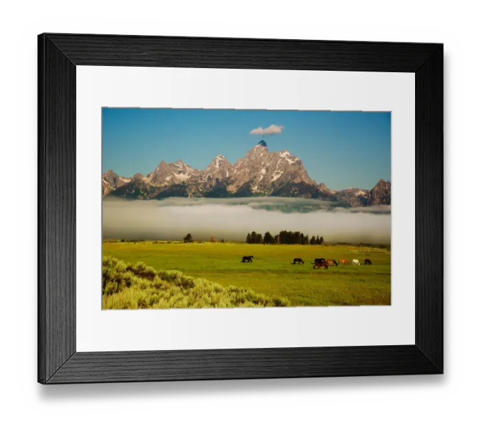 Framed Print : Good Morning Teton Framed Print : Good Morning Teton