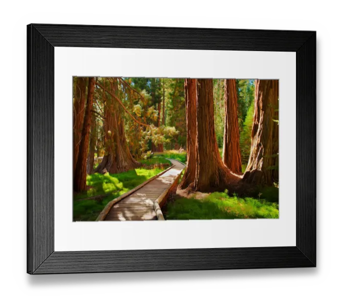 Framed Print : Fairyland. Sequoia National Park, California
