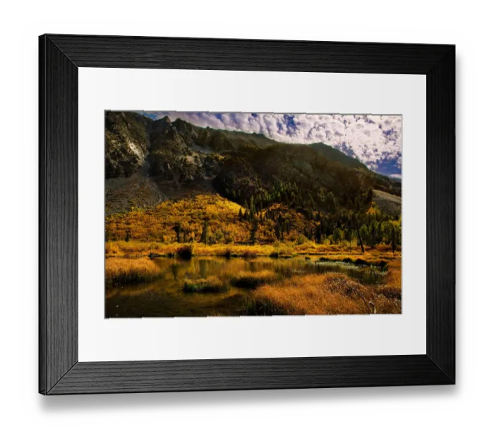 Framed Print : Eastern Sierra Fall Color Framed Print : Eastern Sierra Fall Color