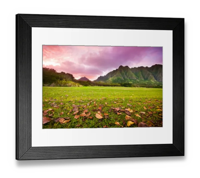 Framed Print : Jurassic Sunset Framed Print : Jurassic Sunset