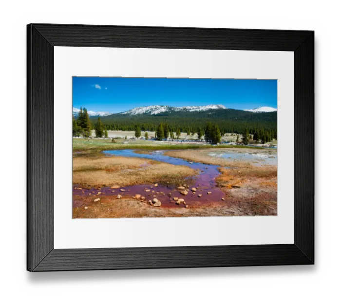 Framed Print : Colorful spring Framed Print : Colorful spring