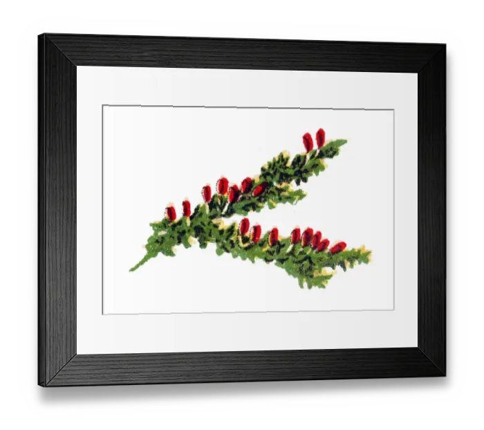 Framed Print : Orange slime mold, Leocarpus fragilis Framed Print : Orange slime mold, Leocarpus fragilis