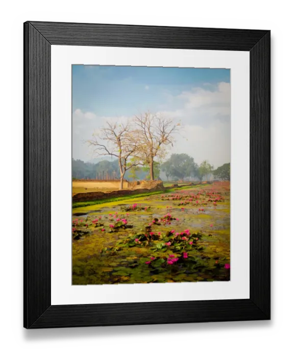 Framed Print : Asian pond Framed Print : Asian pond