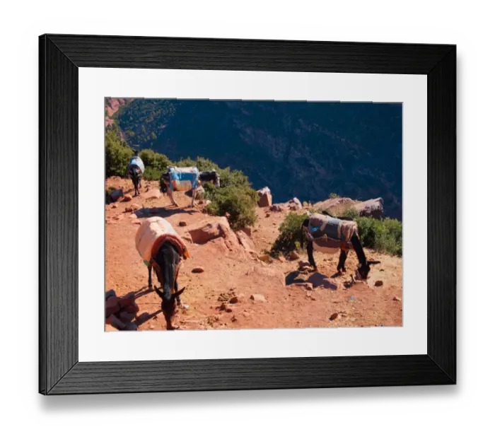 Framed Print : Morocco, donkeys at Atlas Mountains