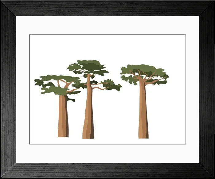 Framed Print : Baobab. Dorling Kindersley Prints Framed Print : Baobab. Dorling Kindersley Prints
