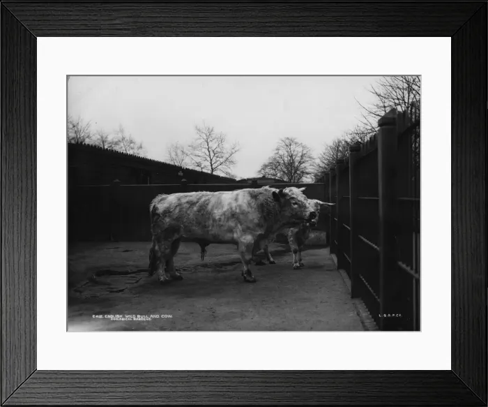 Framed Print : Chillinghams Framed Print : Chillinghams