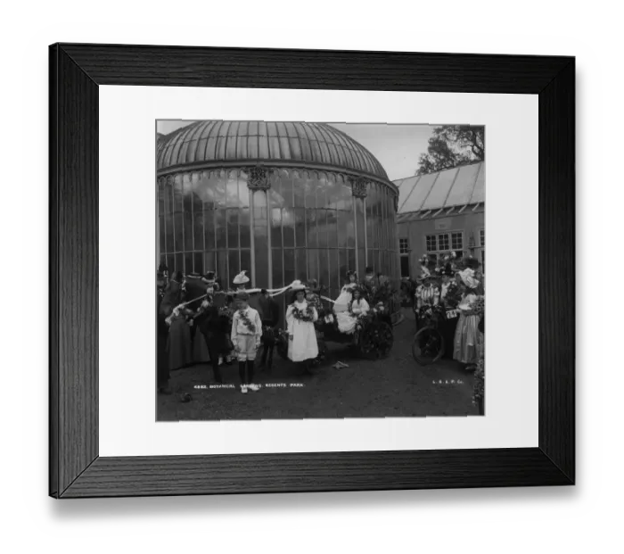 Framed Print : Floral Event Framed Print : Floral Event