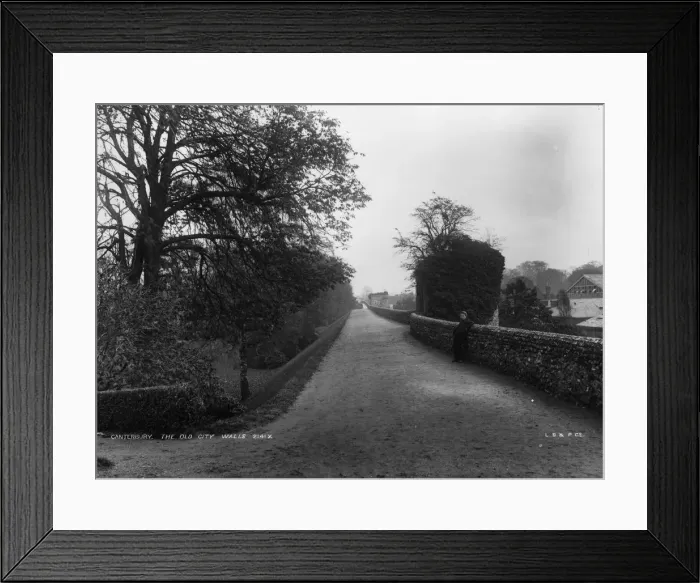 Framed Print : Green Walls Framed Print : Green Walls