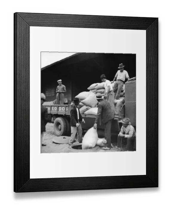 Framed Print : Coffee Delivery, Santos Framed Print : Coffee Delivery, Santos