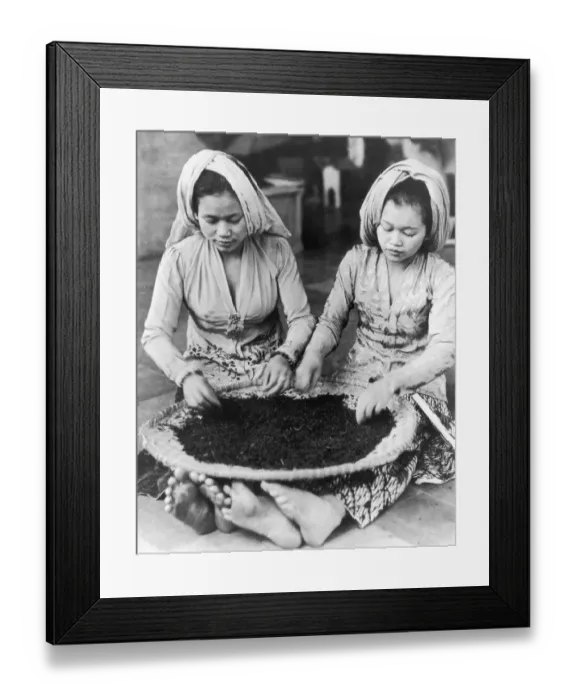 Framed Print : Javanese Tea Labourers Framed Print : Javanese Tea Labourers