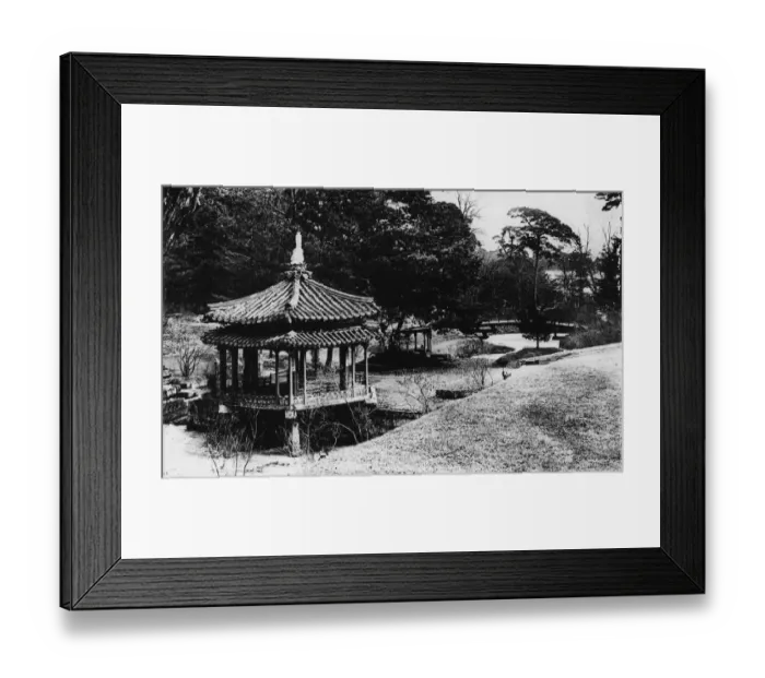 Framed Print : Shotoku Palace Garden Framed Print : Shotoku Palace Garden