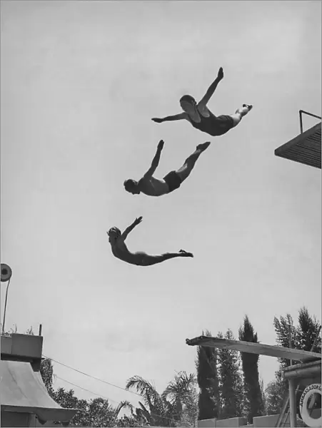 Using The Diving Board