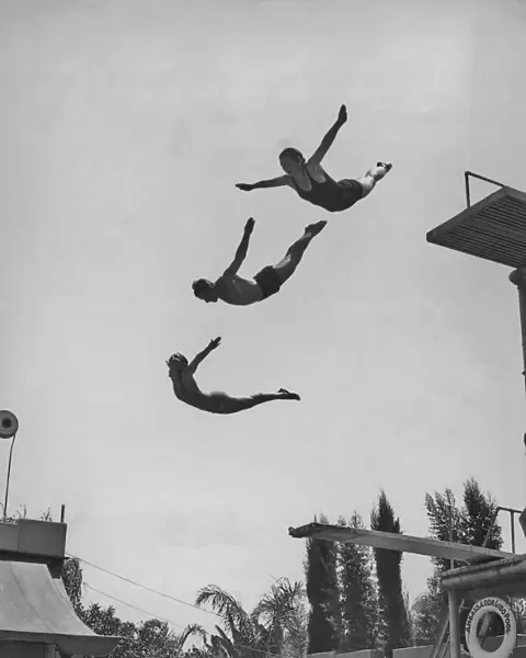 Using The Diving Board