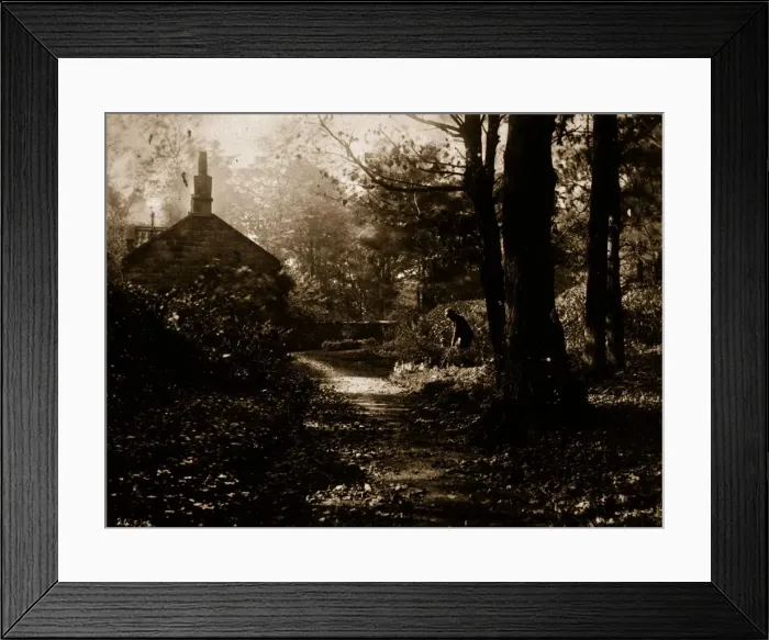Framed Print : Rural Glade Framed Print : Rural Glade
