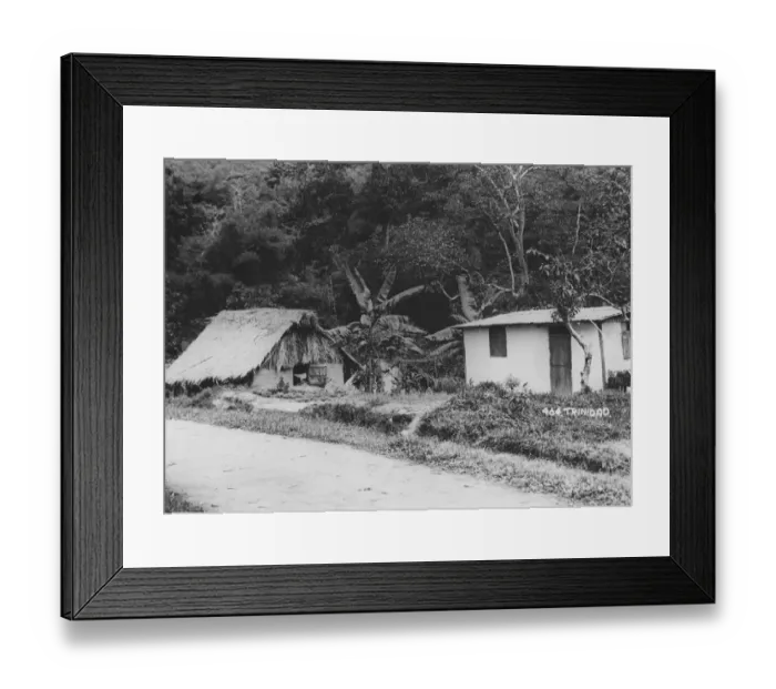 Framed Print : Trinidad Homes Framed Print : Trinidad Homes