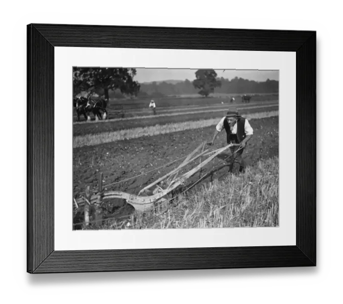 Framed Print : Man Ploughing Framed Print : Man Ploughing