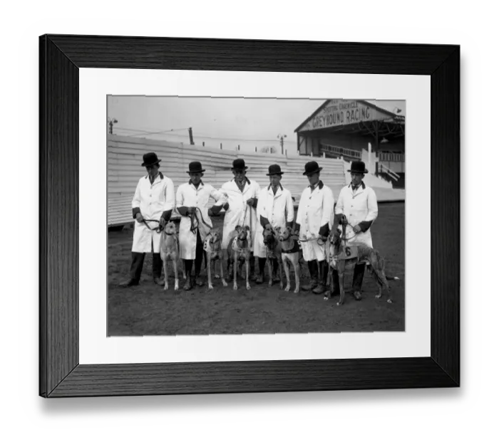 Framed Print : Belle Vue Dogs Framed Print : Belle Vue Dogs