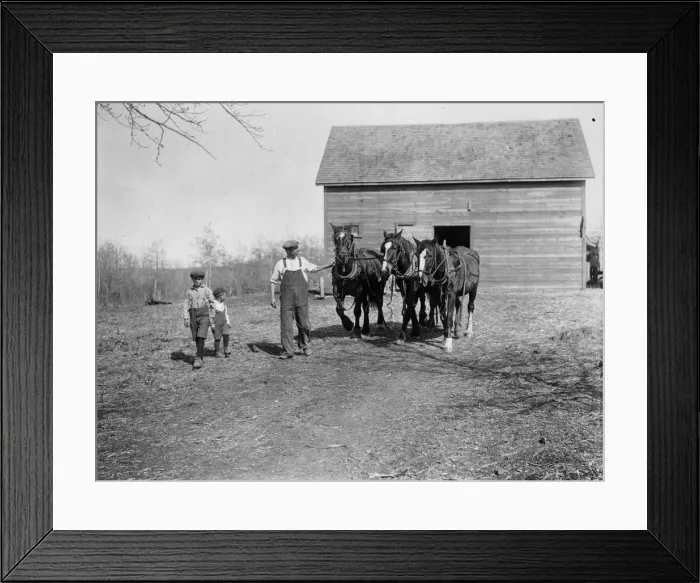 Framed Print : Canadian Farmer Framed Print : Canadian Farmer