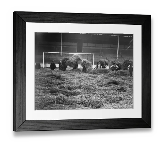 Framed Print : Frost Protection Framed Print : Frost Protection