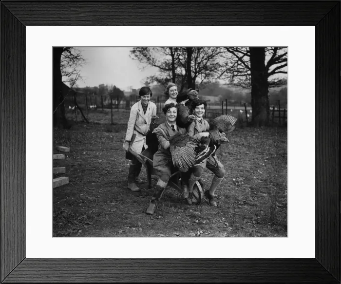 Framed Print : Yuletide Preparations Framed Print : Yuletide Preparations