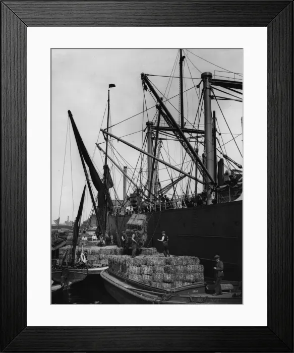 Framed Print : Hay Loading Framed Print : Hay Loading
