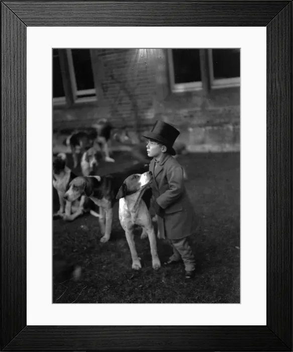 Framed Print : Hunt Follower Framed Print : Hunt Follower