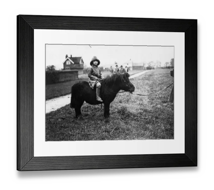 Framed Print : Bicester Hunt Framed Print : Bicester Hunt
