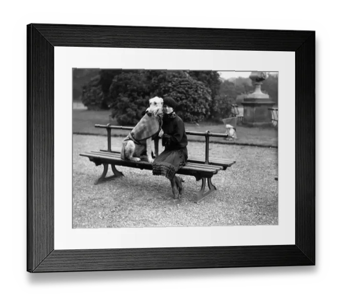 Framed Print : Kennel Club Show Framed Print : Kennel Club Show