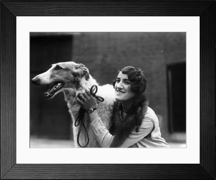 Framed Print : Borzoi Dog