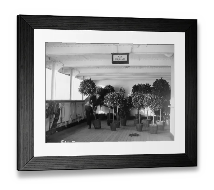 Framed Print : Ships Garden Framed Print : Ships Garden