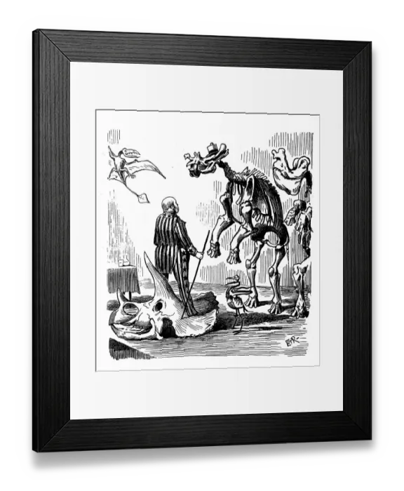 Framed Print : British London satire caricatures comics cartoon illustrations: Dinosaurs skeleton