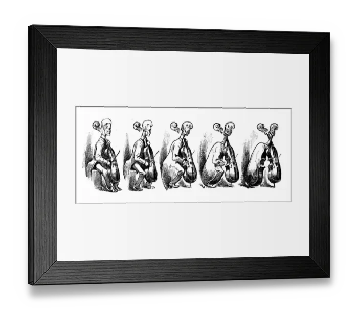 Framed Print : British London satire caricatures comics cartoon illustrations: Cello metamorphosis