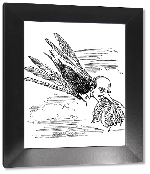 British London satire caricatures comics cartoon illustrations: Bird man