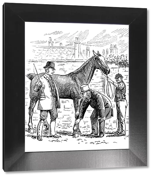 British London satire caricatures comics cartoon illustrations: Buying horse