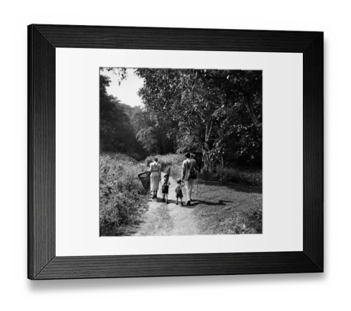 Framed Print : Family carrying butterfly nets, rear view (B&W) Framed Print : Family carrying butterfly nets, rear view (B&W)