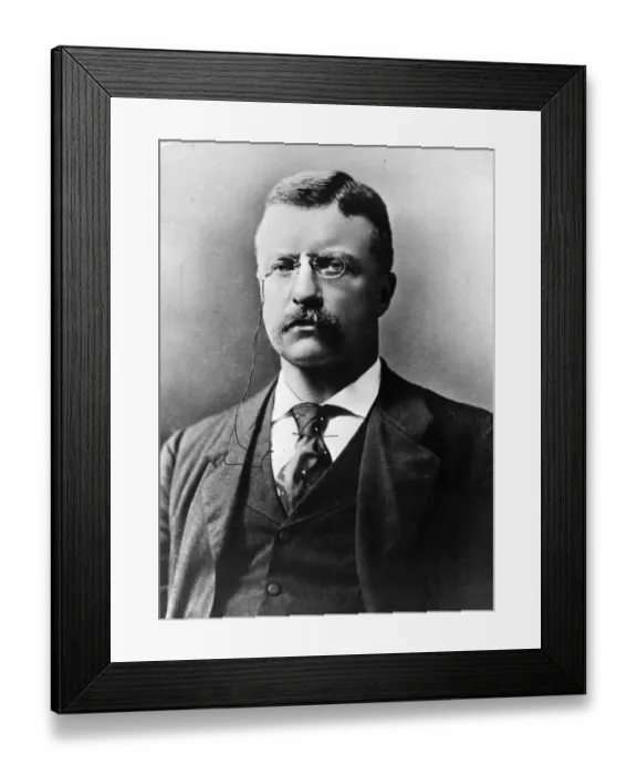 Framed Print : Theodore Roosevelt Framed Print : Theodore Roosevelt