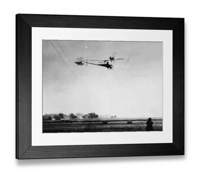 Framed Print : Dumonts Demoiselle Framed Print : Dumonts Demoiselle