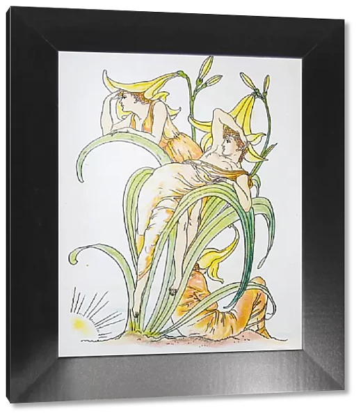 Antique illustration of humanized flowers and plants: Lilies