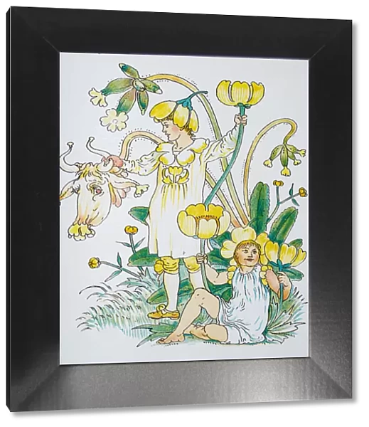 Antique illustration of humanized flowers and plants: Buttercups and Cowslips