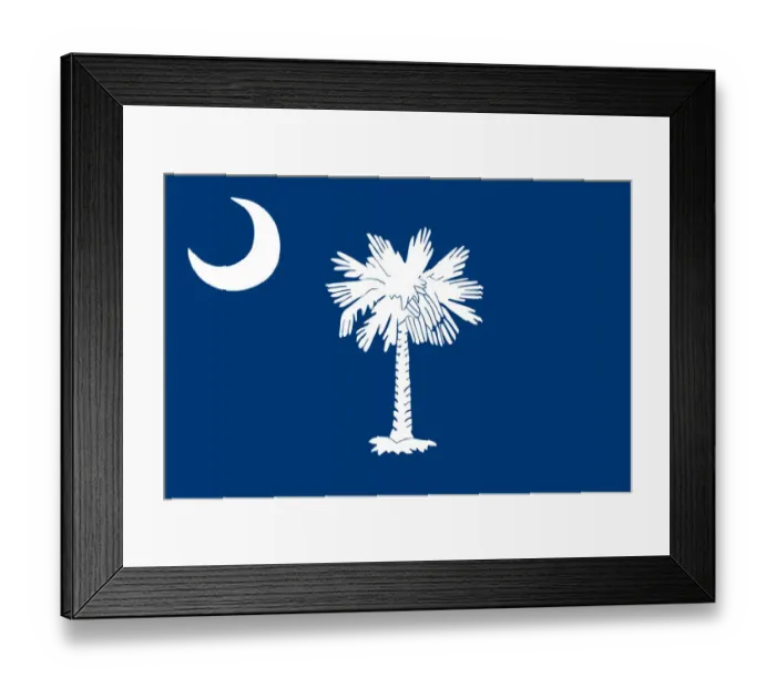 Framed Print : South Carolina flag Framed Print : South Carolina flag