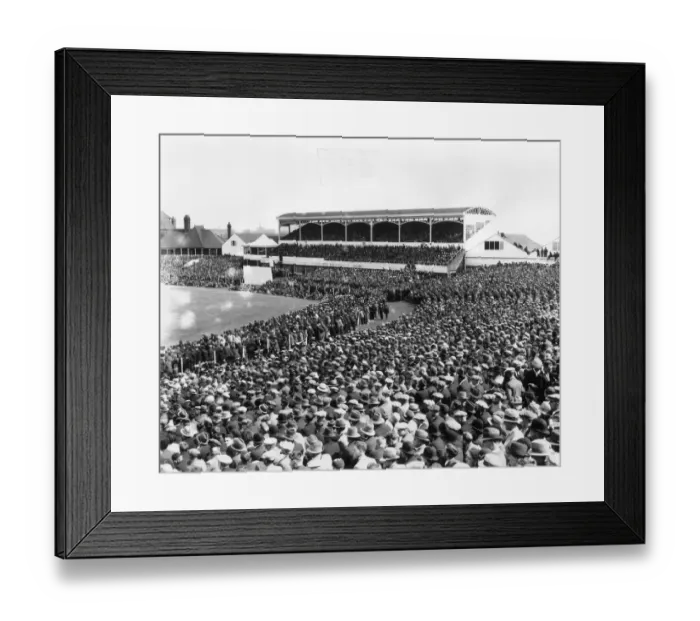 Framed Print : Cricket Fans Framed Print : Cricket Fans