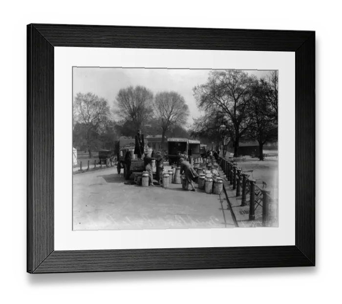 Framed Print : Milk Pool. May 1926: Volunteers load milk churns