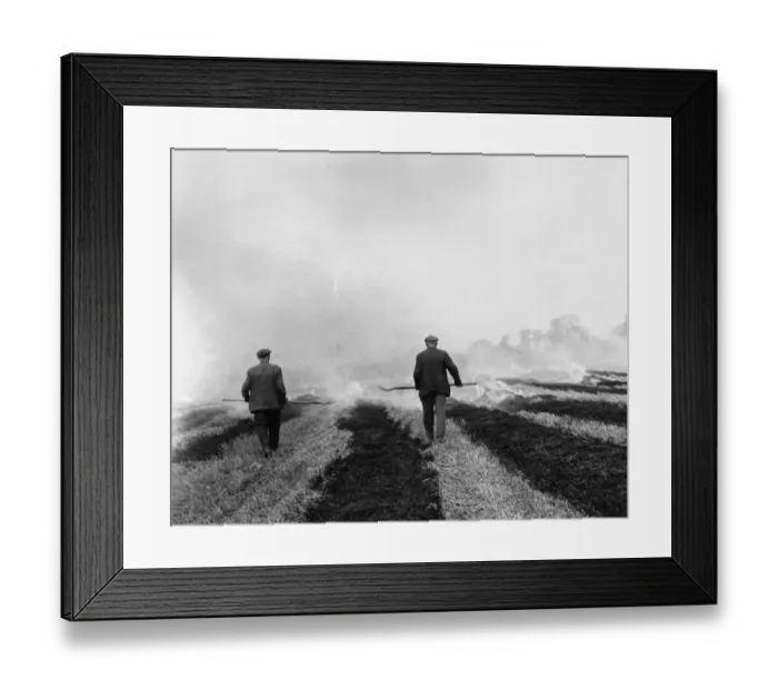Framed Print : Burning Stubble Framed Print : Burning Stubble